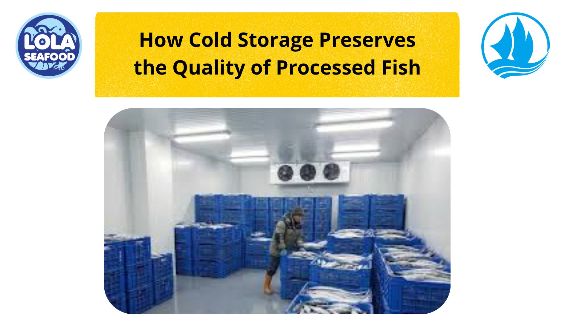 How Cold Storage Preserves the Quality of Processed Fish